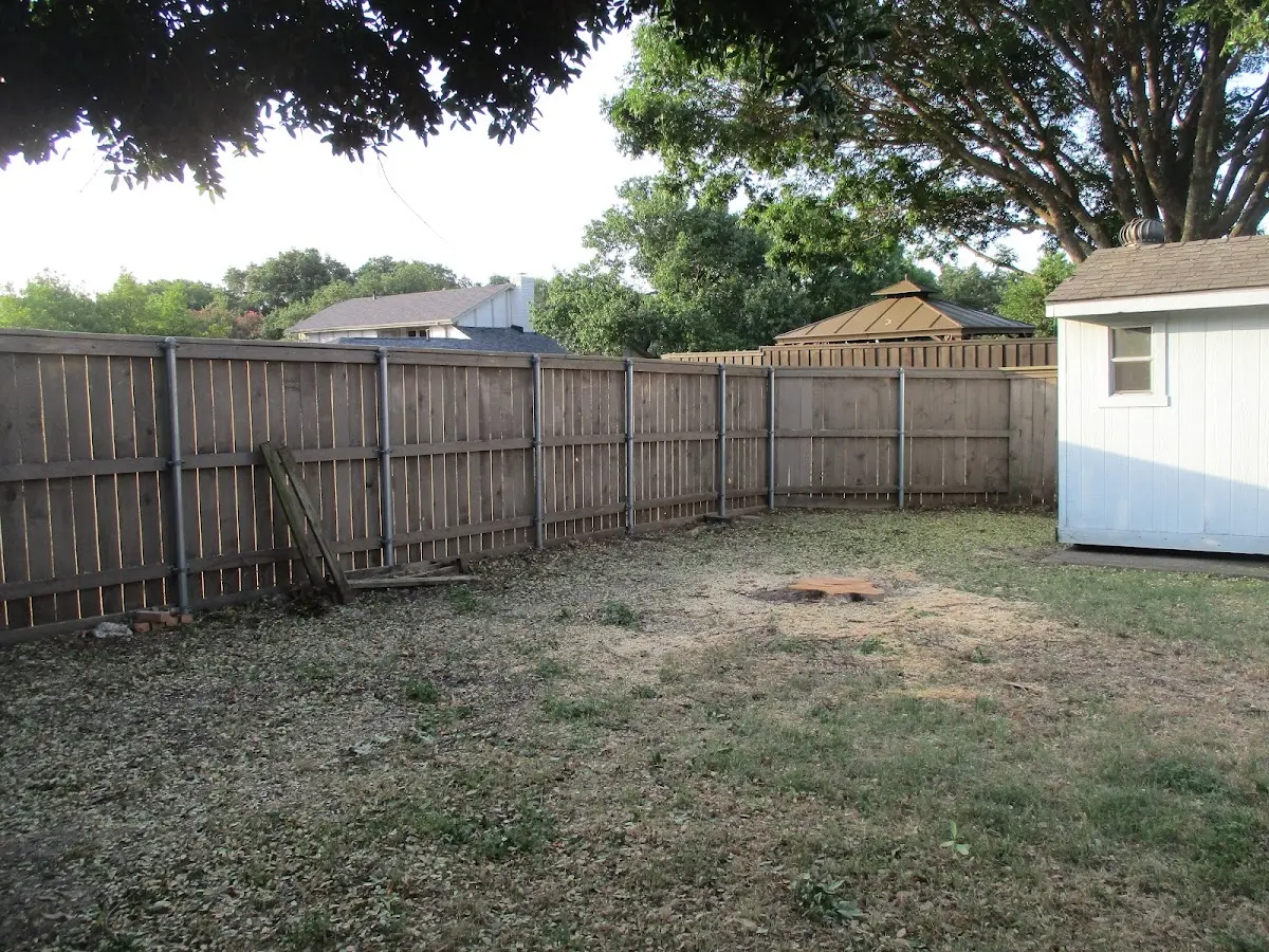 Cleared yard after professional tree removal in West Islip