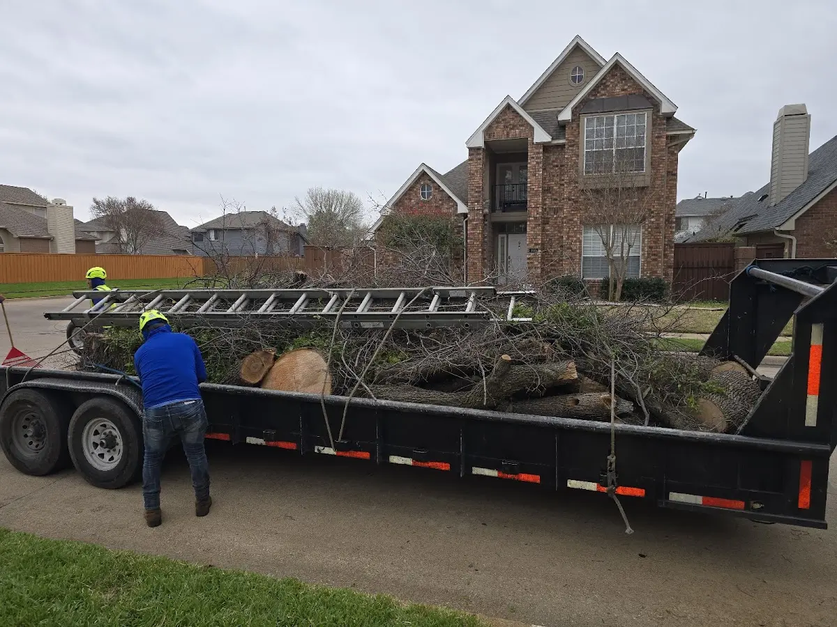 Expert Tree Fertilization with proper safety equipment in West Islip
